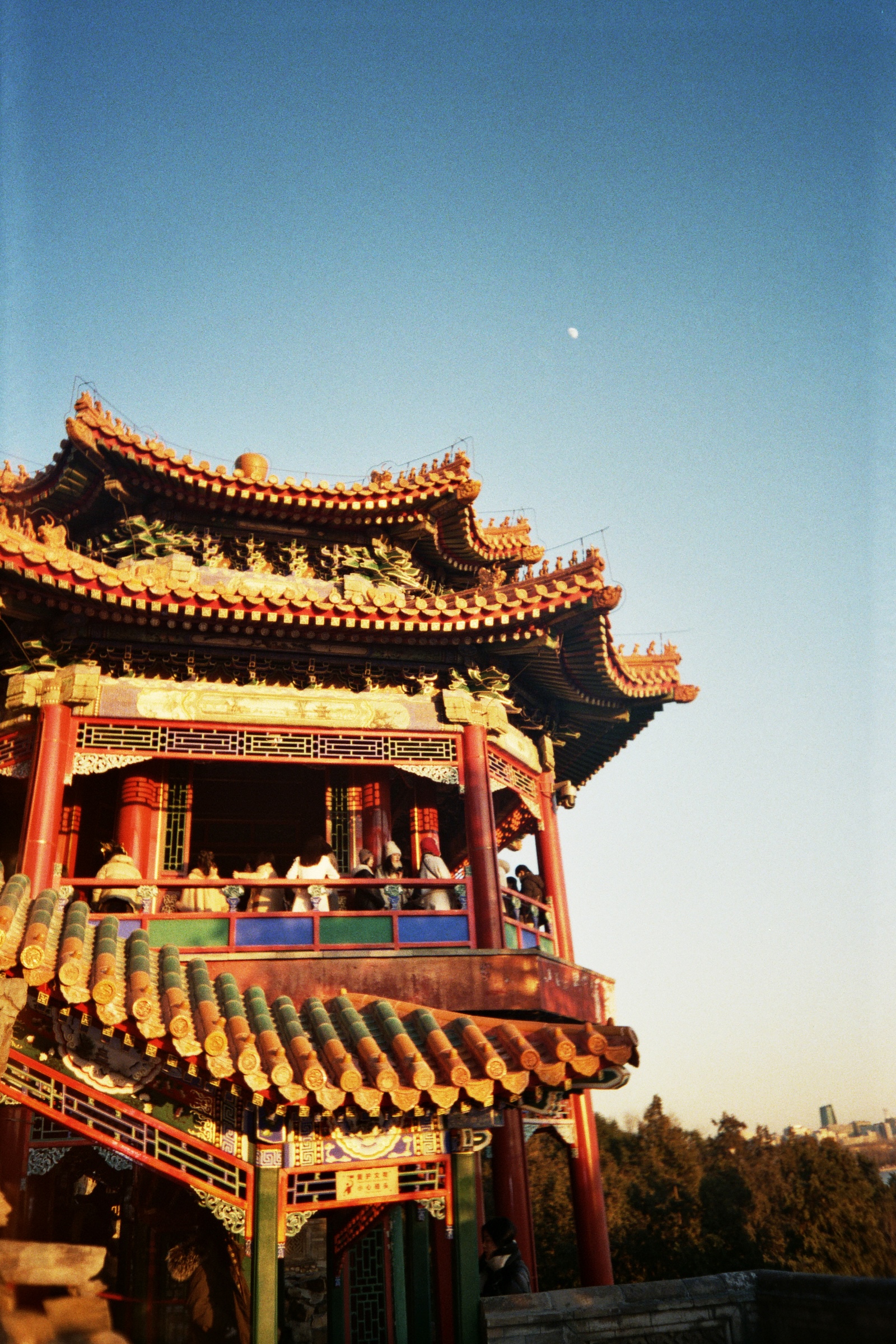 Martina Frascari_China